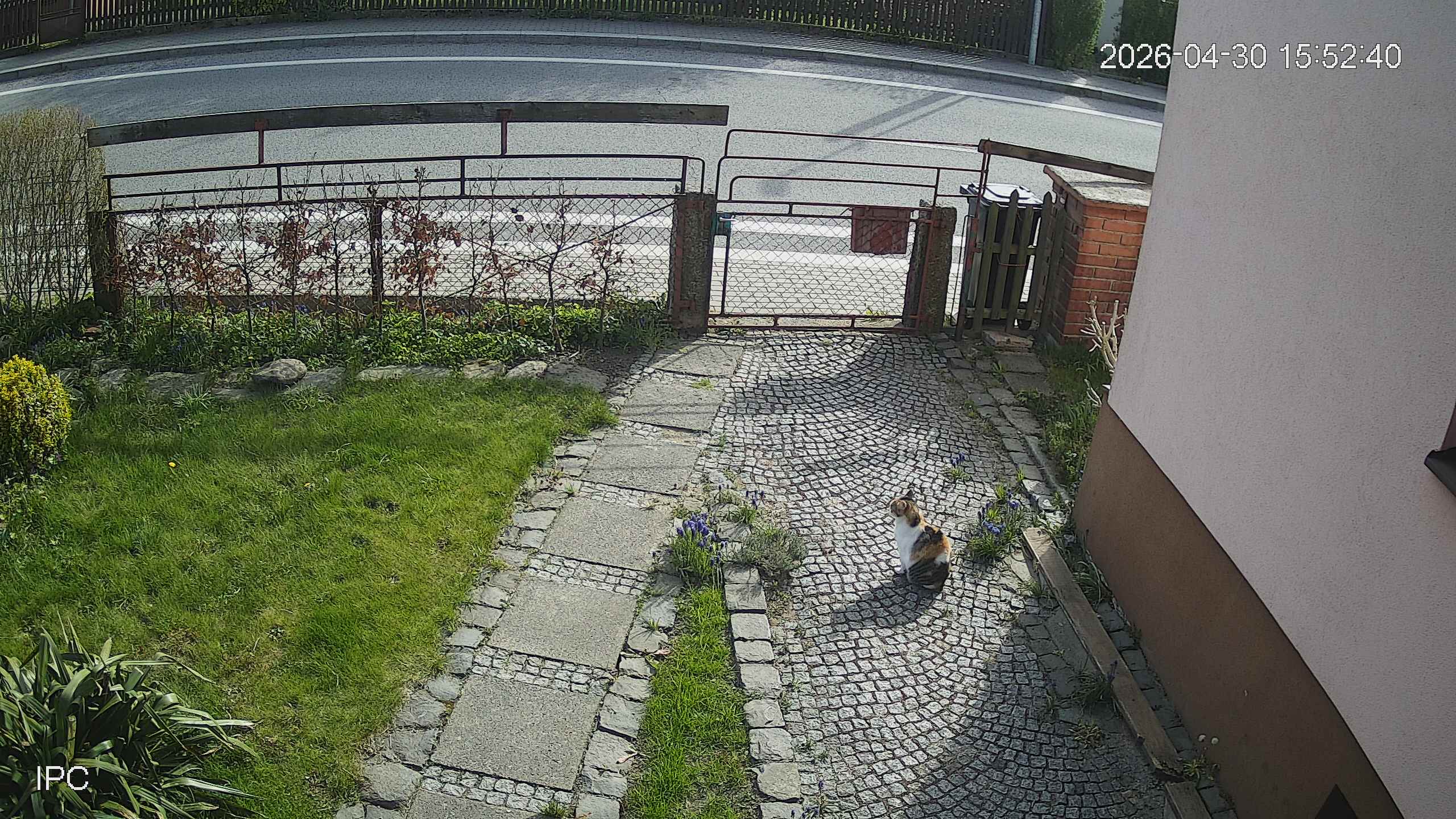 Capture